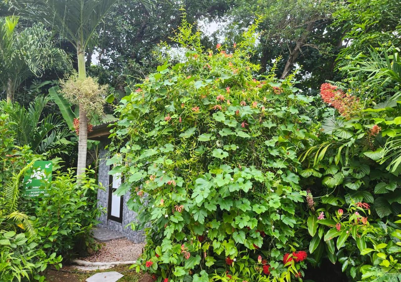 Buisson Guesthouse La Digue Zewnętrze zdjęcie