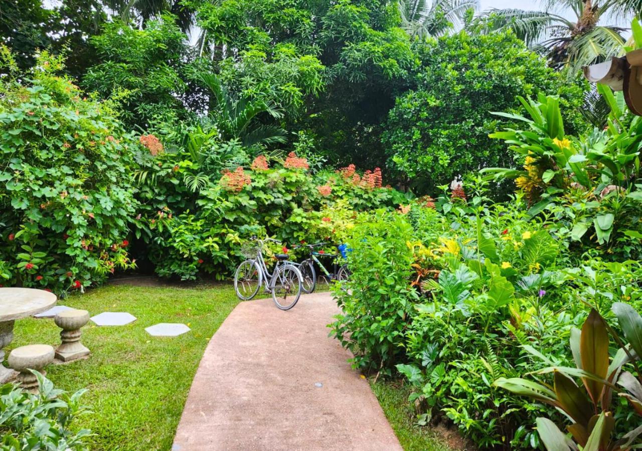 Buisson Guesthouse La Digue Zewnętrze zdjęcie